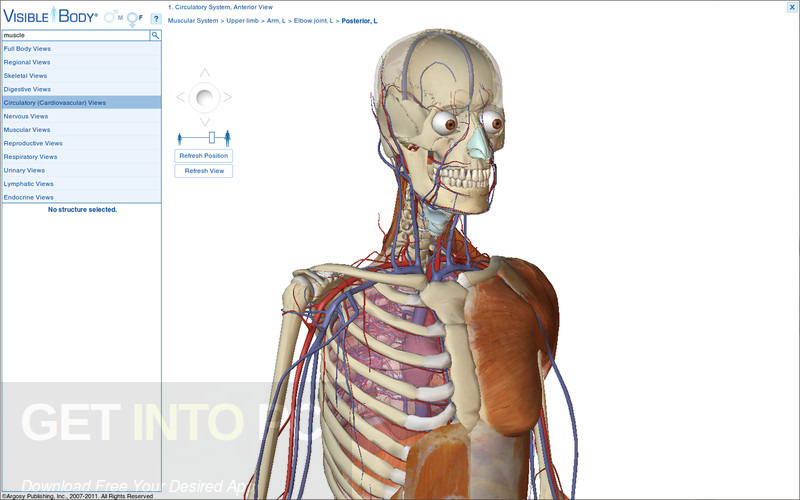 Anatomy And Physiology Notes Free Download